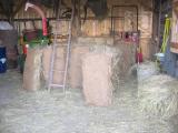 Ab�s�rsk� ch��e