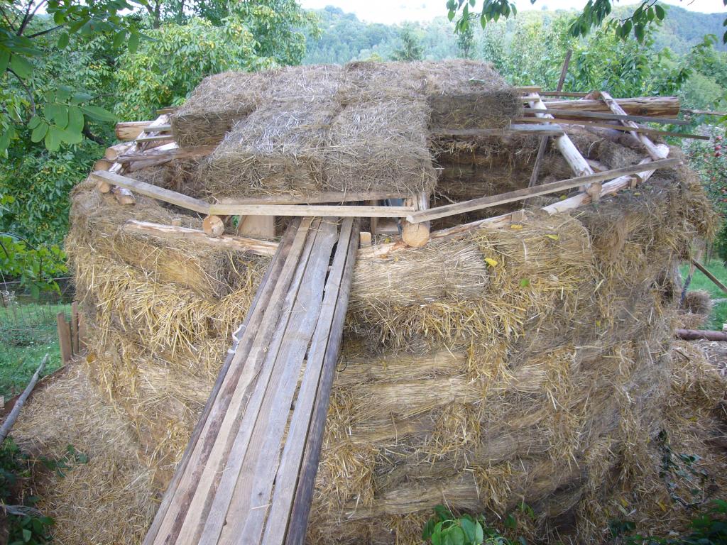 fotografie