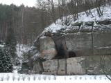Weinproben und Spiele in der Natur