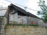 Kvetoucí tulipány